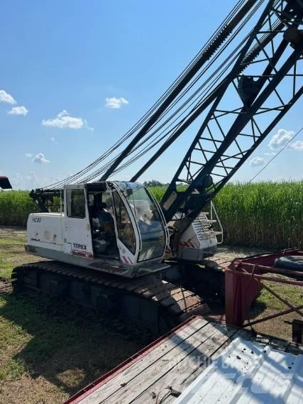 Terex HC 80 Γερανοί με ερπύστριες