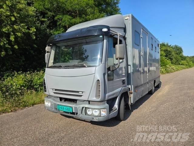 Iveco E 75 Φορτηγά μεταφοράς ζώων