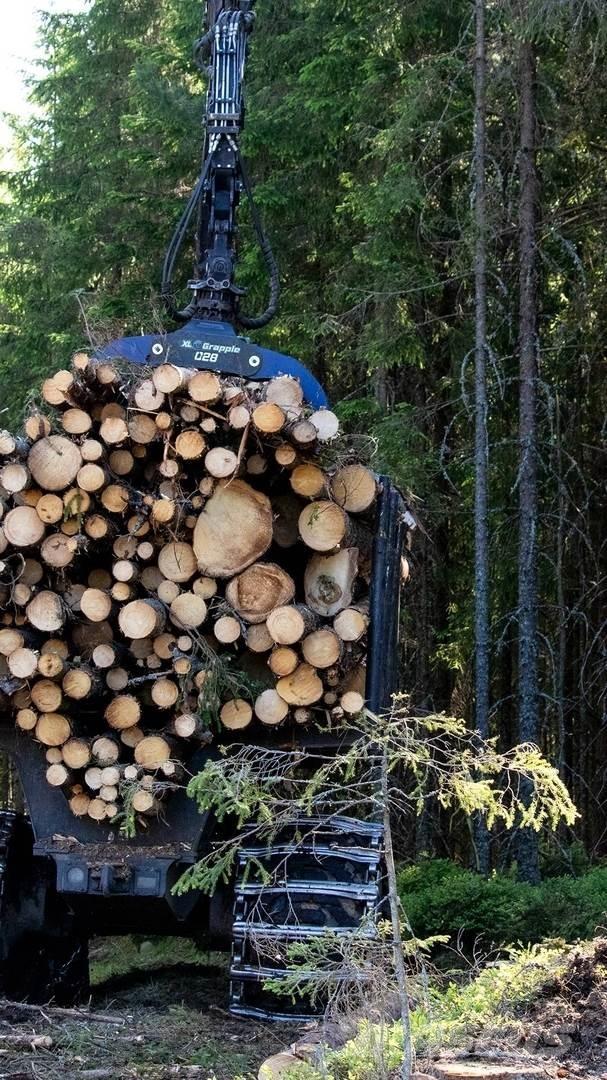  XL Grapple 028 STD Αρπάγες