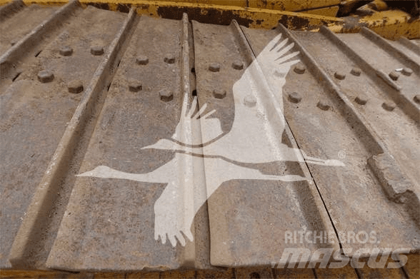 CAT  Πτερύγια