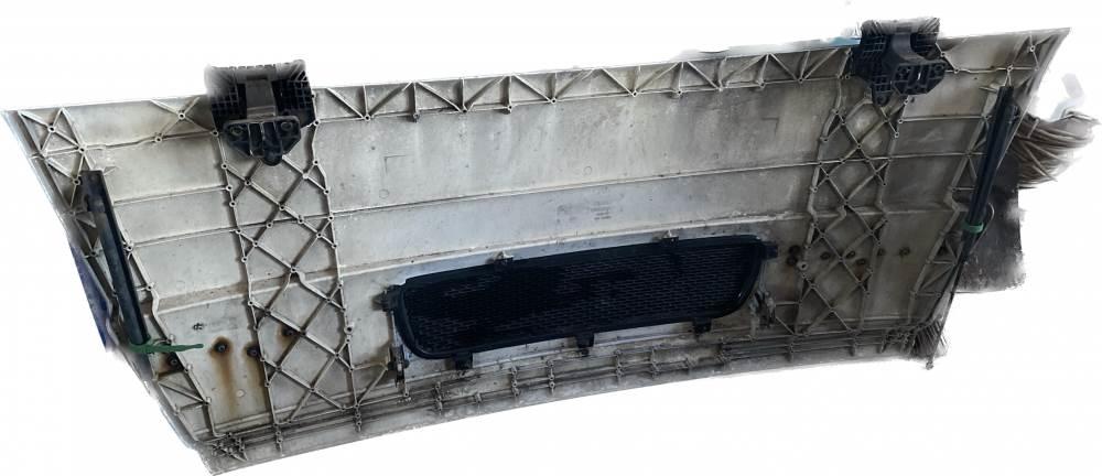 DAF LF KAPOTA 1406664 Μεταφορές - Άλλα