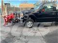 Ford F 350 Φορτηγά Kαρότσα με ανοιγόμενα πλαϊνά