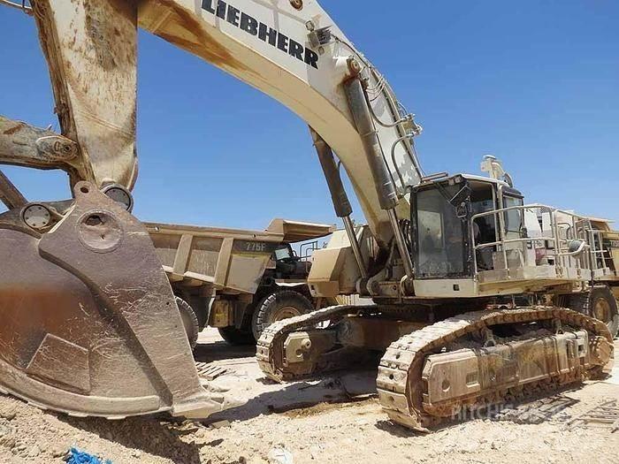 Liebherr R9150 Ειδικοί εκσκαφείς