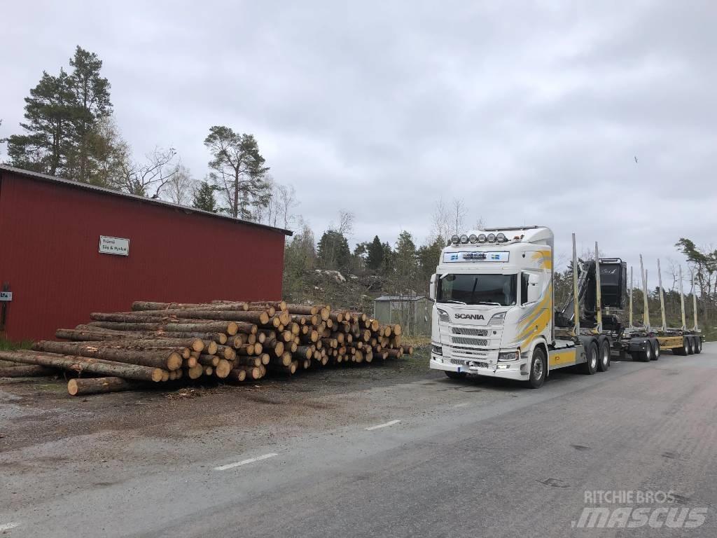 Scania R 650 Φορτηγά ξυλείας