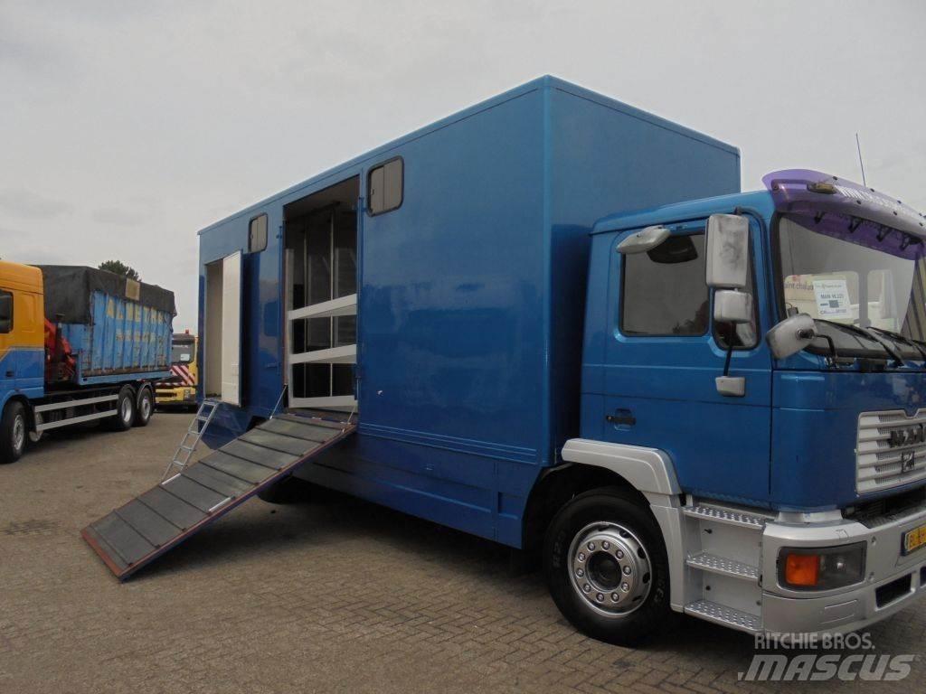 MAN 12 .225 + MANUAL Φορτηγά μεταφοράς ζώων