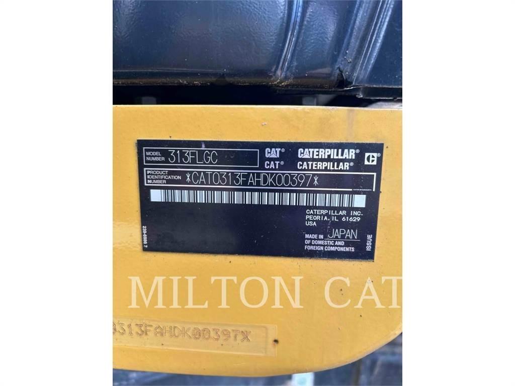 CAT 313FLGC Εκσκαφείς με ερπύστριες