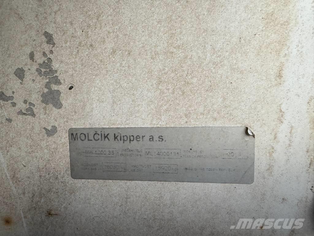 MAN TGS 35.480 Φορτηγά Ανατροπή