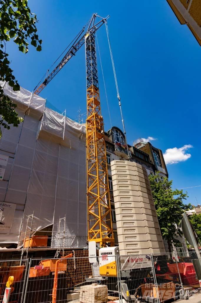 Liebherr 81 K.1 Πυργογερανοί