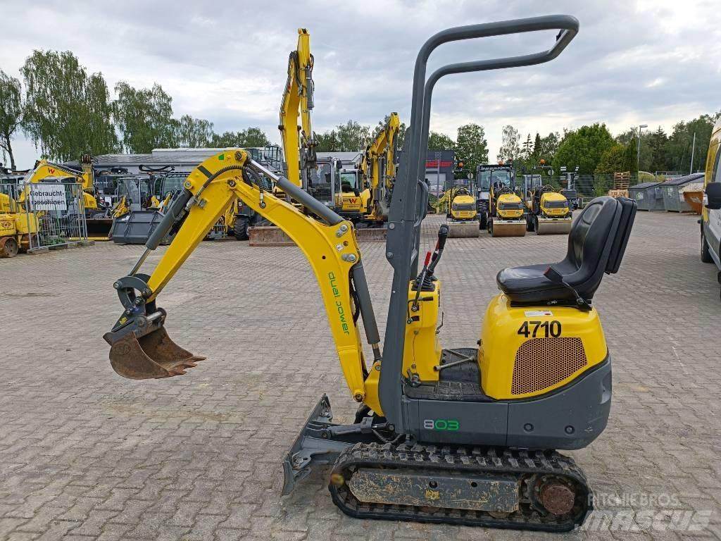 Wacker Neuson 803 Εκσκαφείς με ερπύστριες