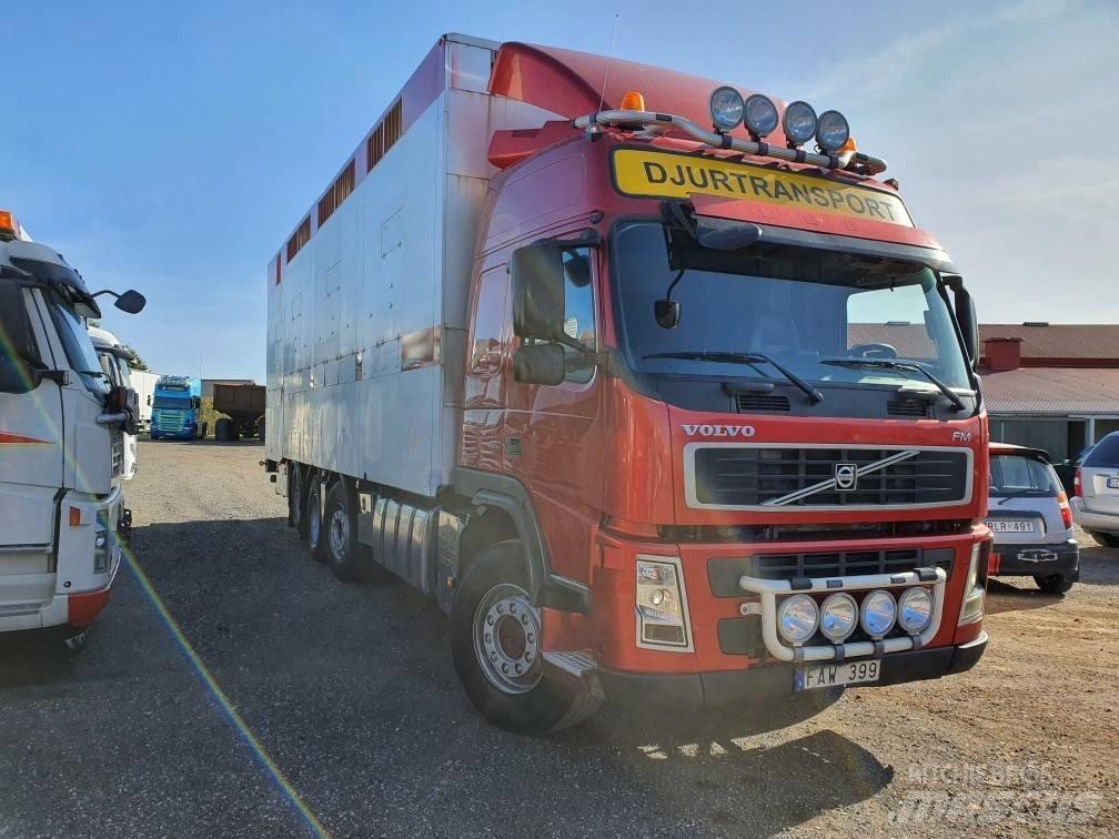 Volvo FM12 Φορτηγά μεταφοράς ζώων