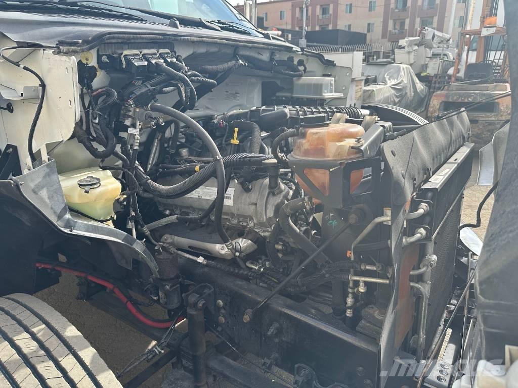 Ford F 650 SD Φορτηγά θρυμματισένου ξύλου