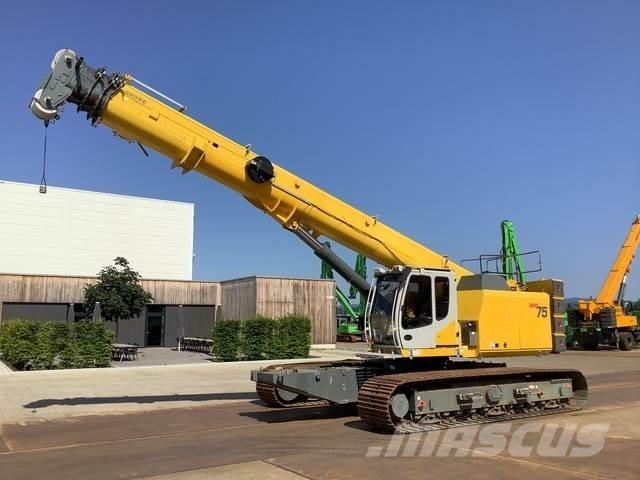 Grove GHC75 Γερανοί με ερπύστριες