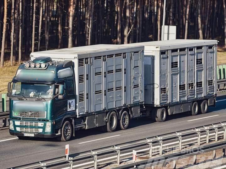 Volvo FH 12 Animal transporter Φορτηγά μεταφοράς ζώων
