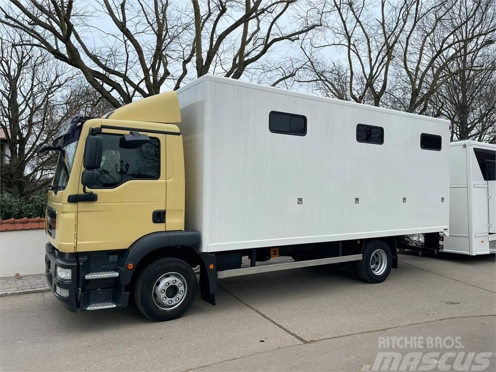 MAN 15250 6 Pferde neuer Aufbau, Automatik Φορτηγά μεταφοράς ζώων