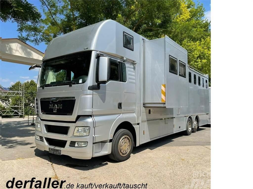 MAN TGX 26400 Gimmel 5-6 Pferde + Kiste, Popout Φορτηγά μεταφοράς ζώων