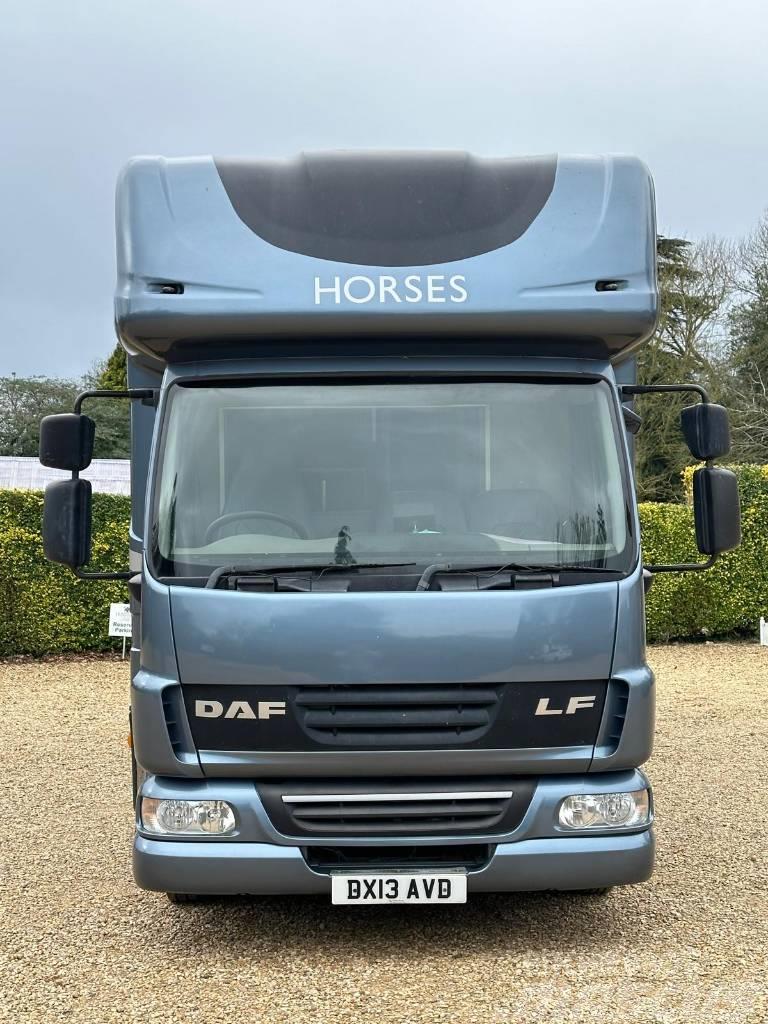 DAF LF Horsebox (2020 Build) Φορτηγά μεταφοράς ζώων